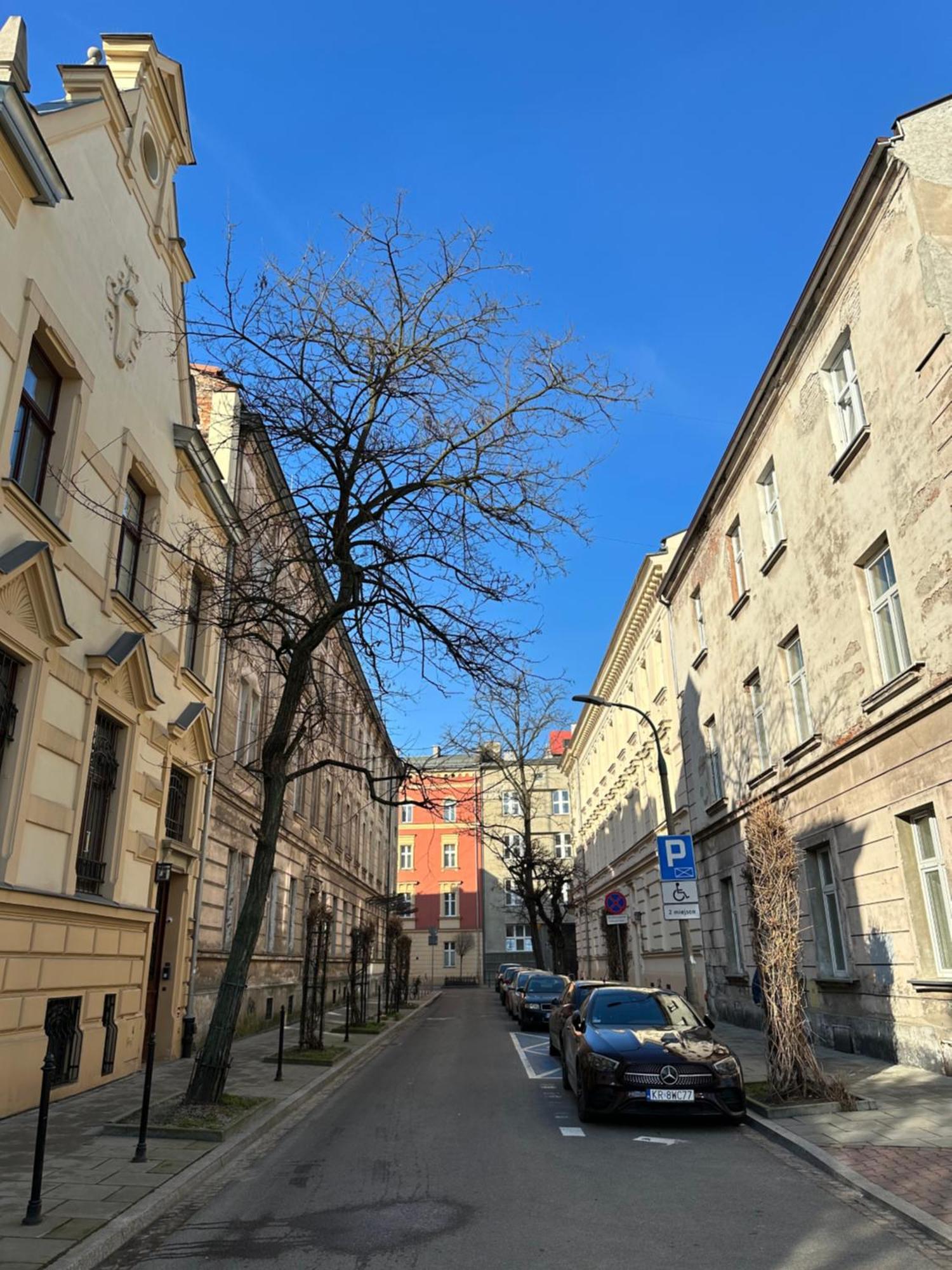 Perfect Place To Stay In Krakow City Center 18M2 W5 ภายนอก รูปภาพ